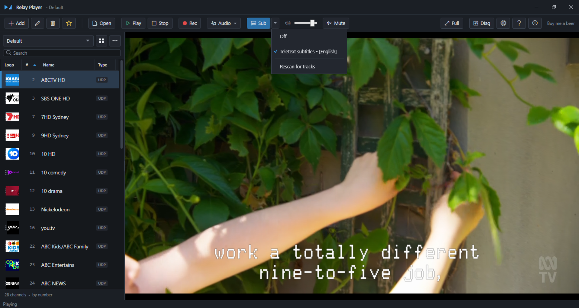 Subtitles menu listing an available track