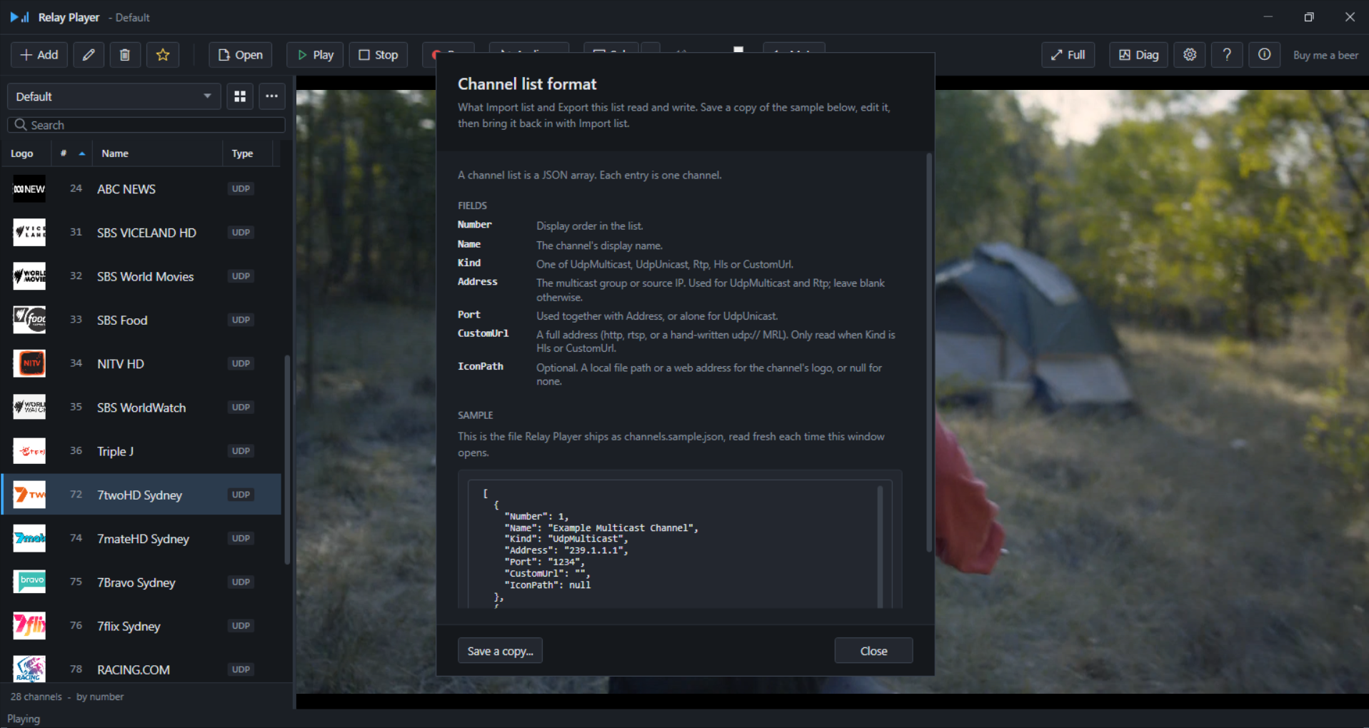 Channel list format dialog showing the field reference and sample content